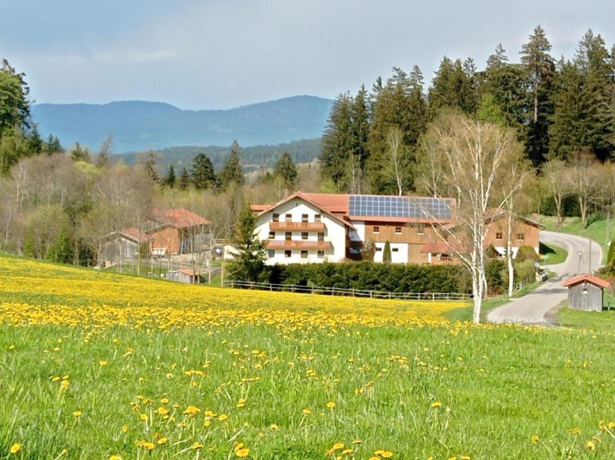 Ferienbauernhof Mehlbach ξενώνας Kollnburg Εξωτερικό φωτογραφία