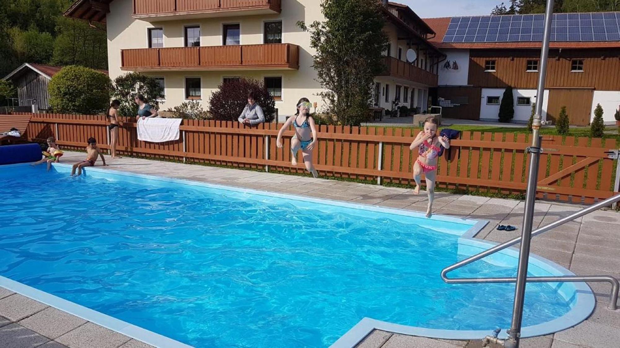 Ferienbauernhof Mehlbach ξενώνας Kollnburg Εξωτερικό φωτογραφία