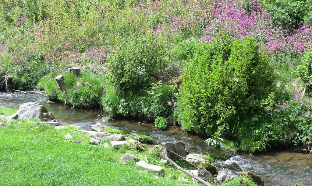 Ferienbauernhof Mehlbach ξενώνας Kollnburg Εξωτερικό φωτογραφία